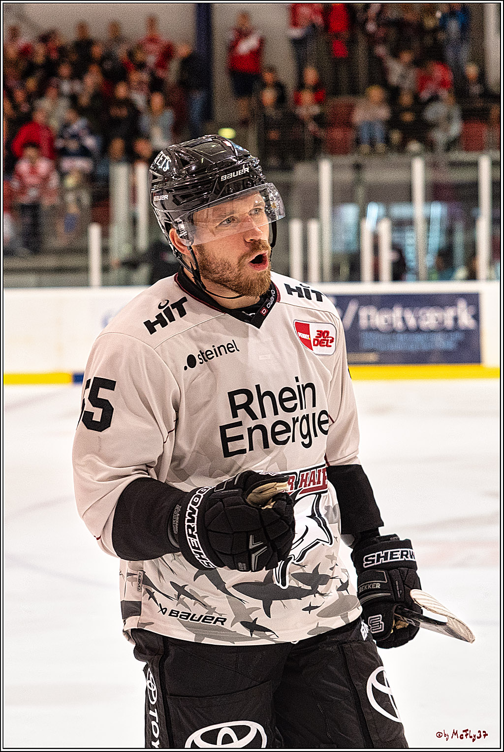 PENNY DEL 1. Testspiel Koelner Haie - Duesseldorfer EG ; Koeln, 03.09.2023