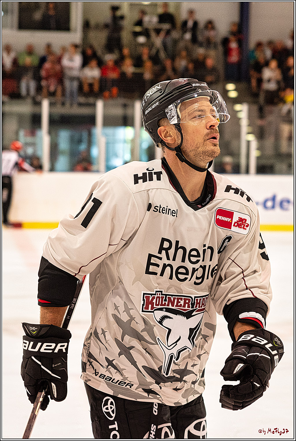 PENNY DEL 1. Testspiel Koelner Haie - Duesseldorfer EG ; Koeln, 03.09.2023