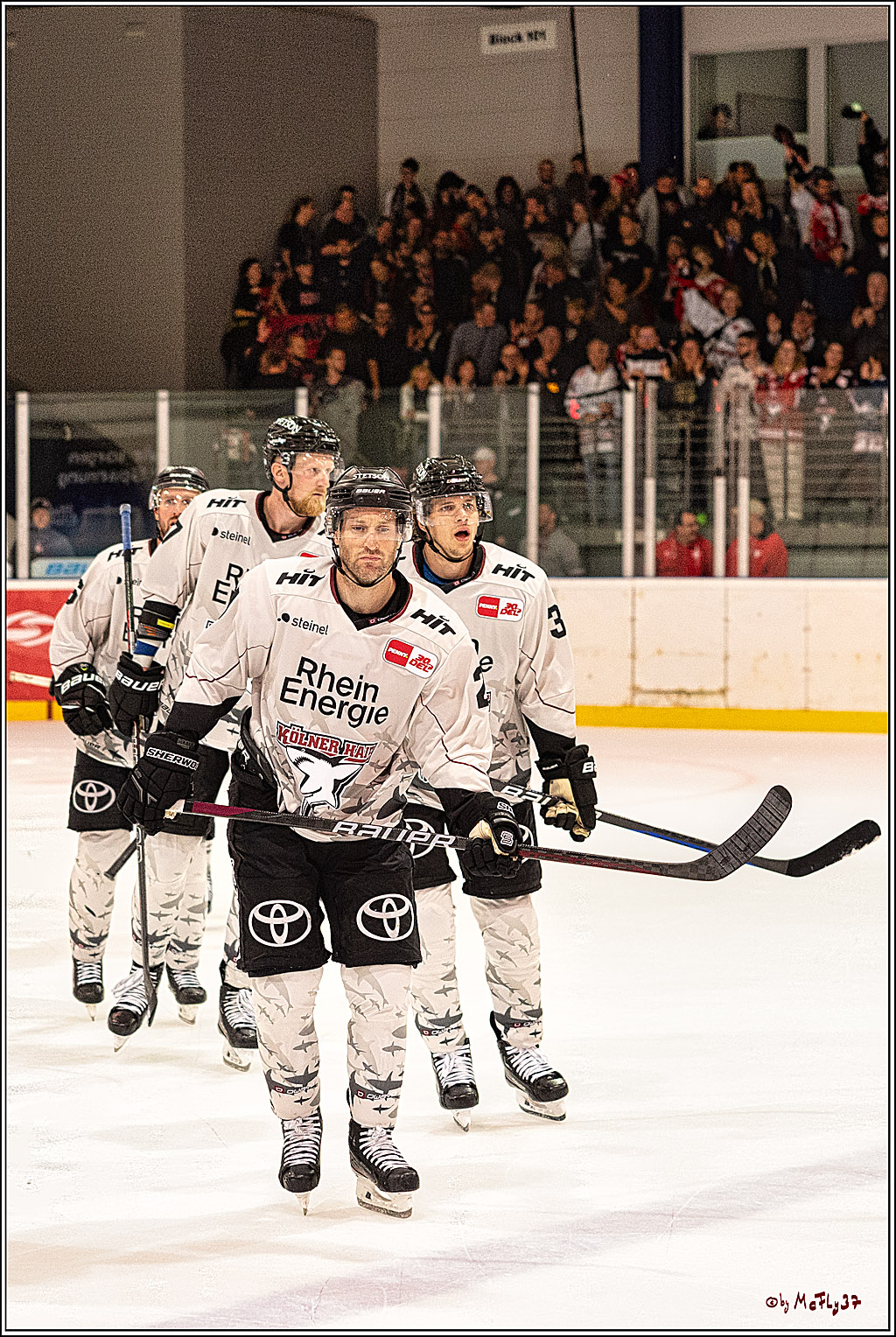 PENNY DEL 1. Testspiel Koelner Haie - Duesseldorfer EG ; Koeln, 03.09.2023