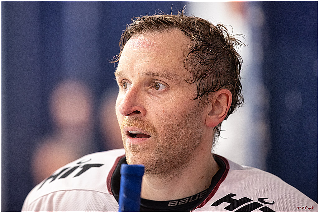 PENNY DEL 1. Testspiel Koelner Haie - Duesseldorfer EG ; Koeln, 03.09.2023