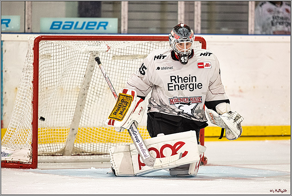 PENNY DEL 1. Testspiel Koelner Haie - Duesseldorfer EG ; Koeln, 03.09.2023