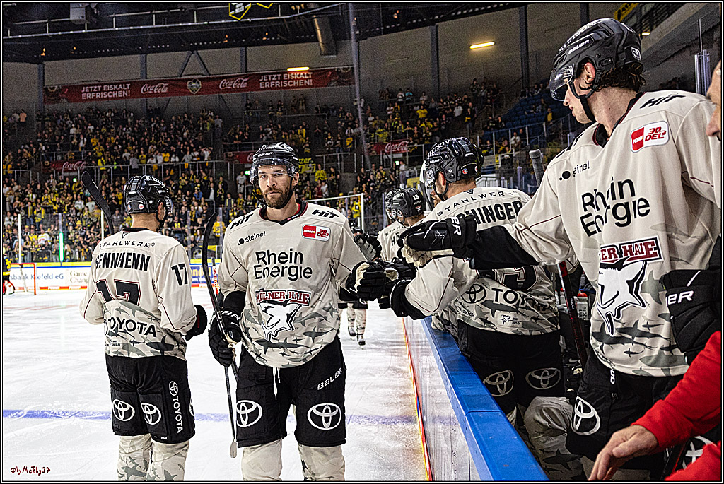 PENNY DEL 1. Testspiel Krefeld Pinguine - Koelner Haie; Krefeld, 10.09.2023