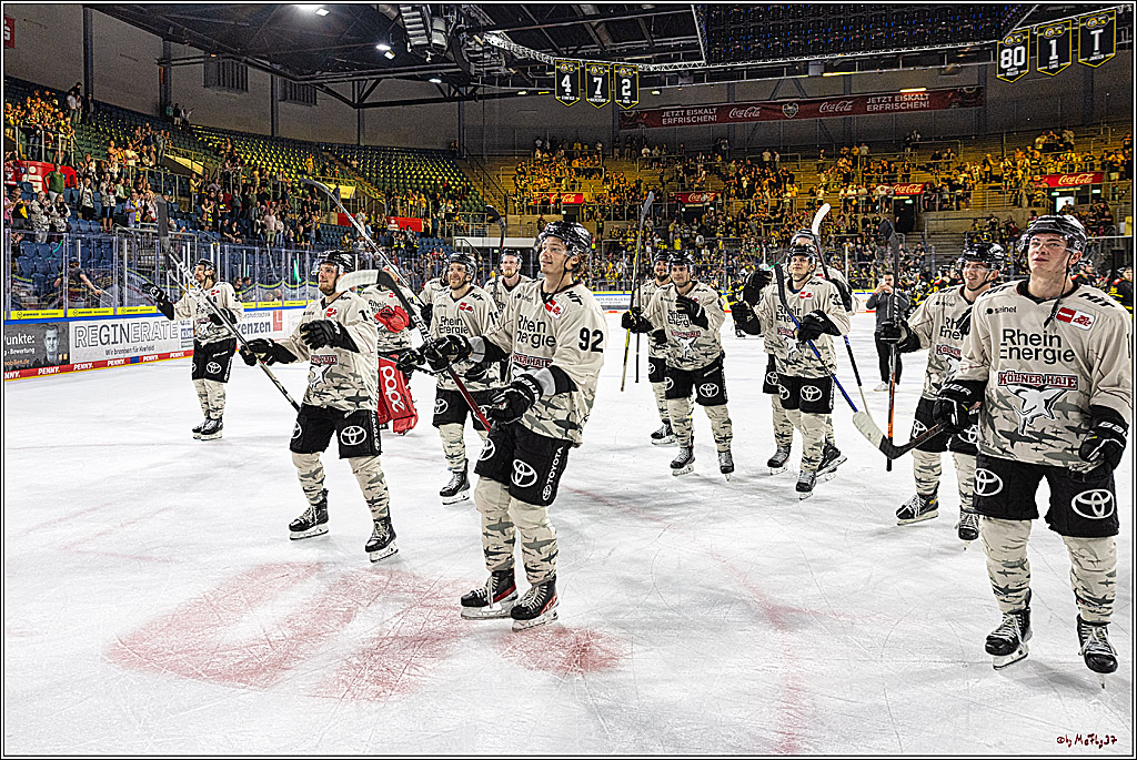 PENNY DEL 1. Testspiel Krefeld Pinguine - Koelner Haie; Krefeld, 10.09.2023