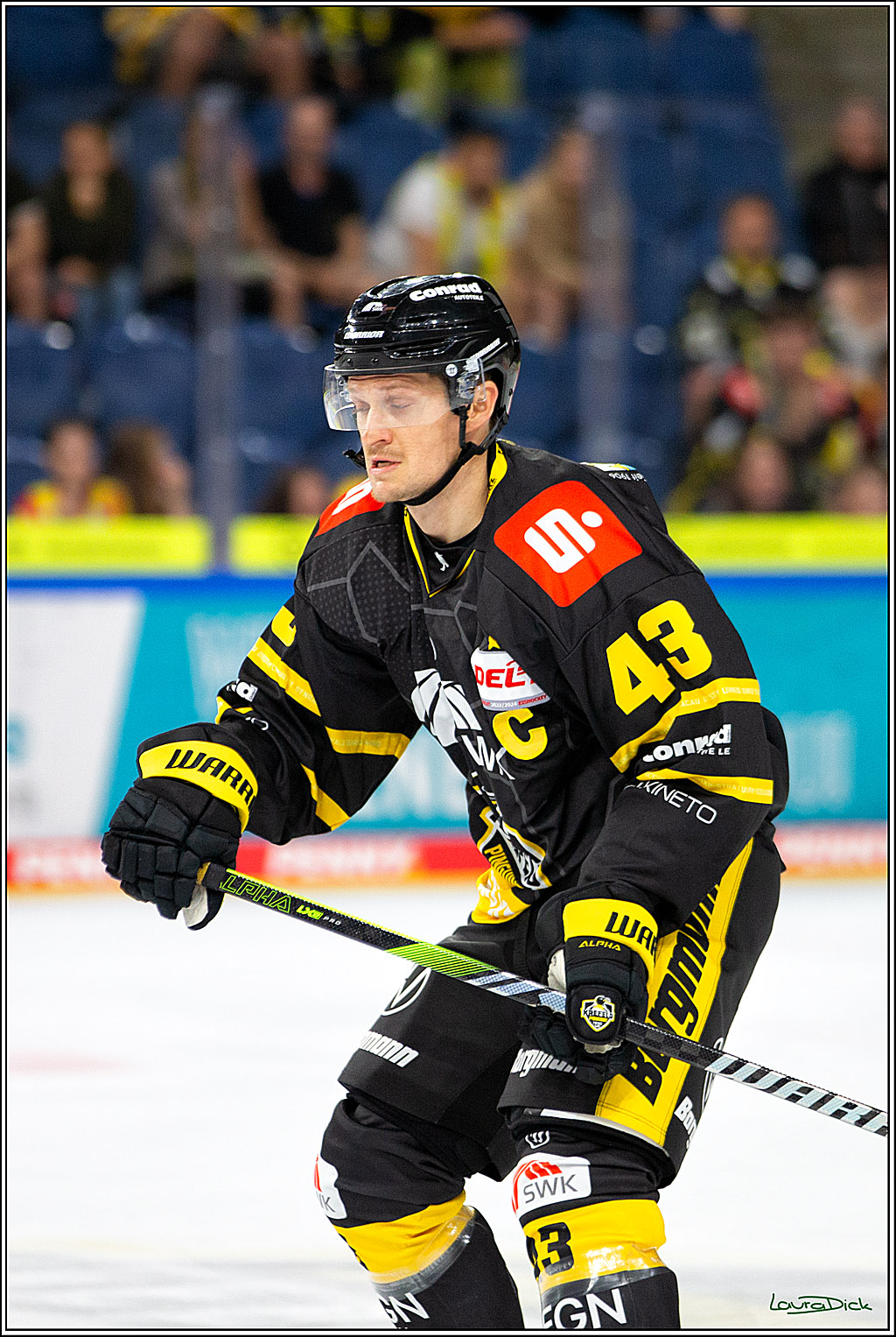 PENNY DEL; Testspiel Krefelder Pinguine- Koelner Haie; Krefeld, 10.09.2023