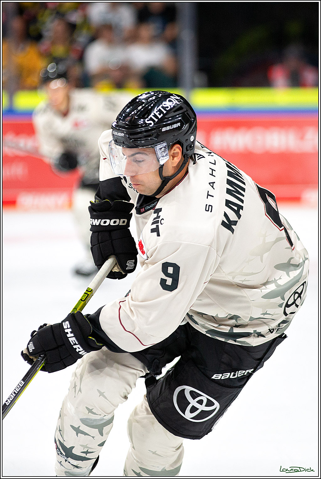 PENNY DEL; Testspiel Krefelder Pinguine- Koelner Haie; Krefeld, 10.09.2023