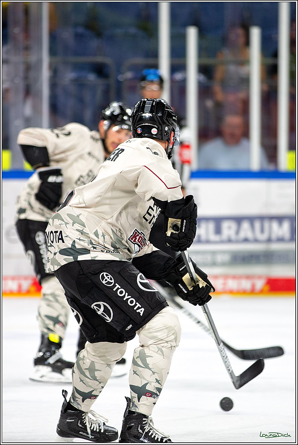 PENNY DEL; Testspiel Krefelder Pinguine- Koelner Haie; Krefeld, 10.09.2023