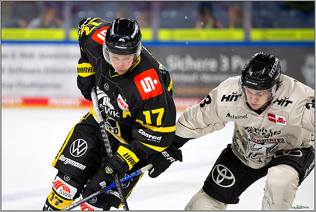 PENNY DEL; Testspiel Krefelder Pinguine- Koelner Haie; Krefeld, 10.09.2023