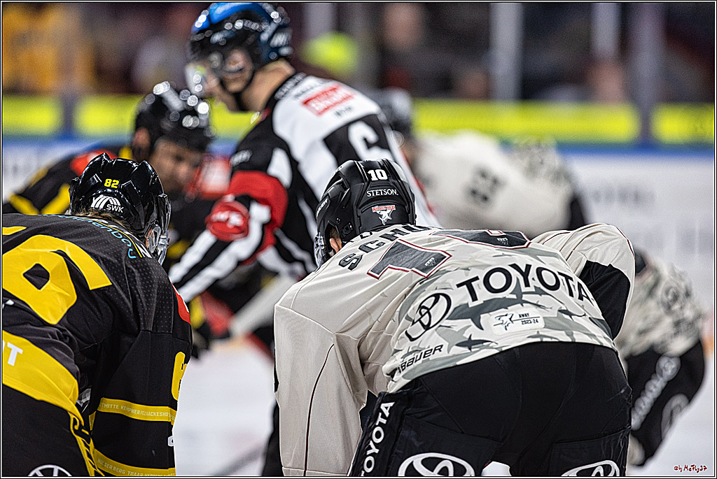 PENNY DEL 1. Testspiel Krefeld Pinguine - Koelner Haie; Krefeld, 10.09.2023