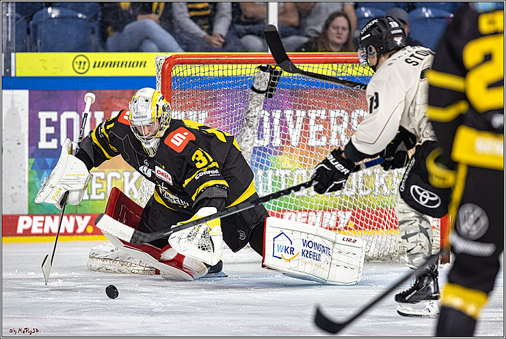 PENNY DEL 1. Testspiel Krefeld Pinguine - Koelner Haie; Krefeld, 10.09.2023