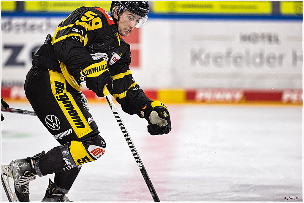 PENNY DEL 1. Testspiel Krefeld Pinguine - Koelner Haie; Krefeld, 10.09.2023