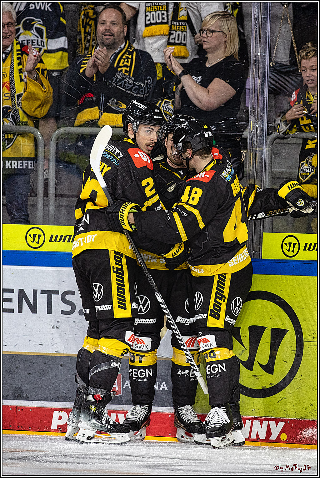 PENNY DEL 1. Testspiel Krefeld Pinguine - Koelner Haie; Krefeld, 10.09.2023