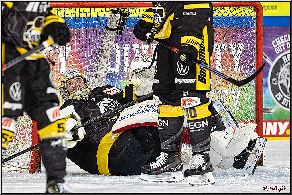 PENNY DEL 1. Testspiel Krefeld Pinguine - Koelner Haie; Krefeld, 10.09.2023