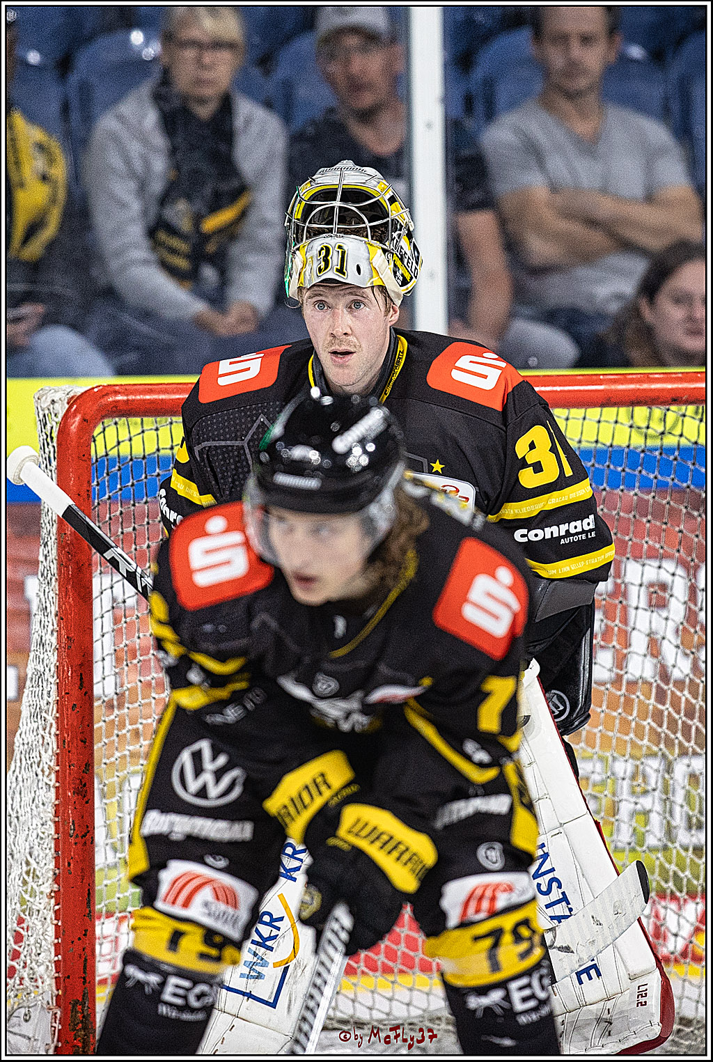 PENNY DEL 1. Testspiel Krefeld Pinguine - Koelner Haie; Krefeld, 10.09.2023