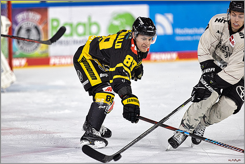 PENNY DEL 1. Testspiel Krefeld Pinguine - Koelner Haie; Krefeld, 10.09.2023