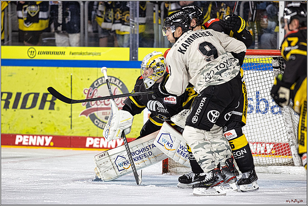 PENNY DEL 1. Testspiel Krefeld Pinguine - Koelner Haie; Krefeld, 10.09.2023