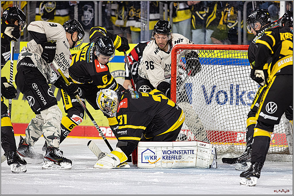 PENNY DEL 1. Testspiel Krefeld Pinguine - Koelner Haie; Krefeld, 10.09.2023