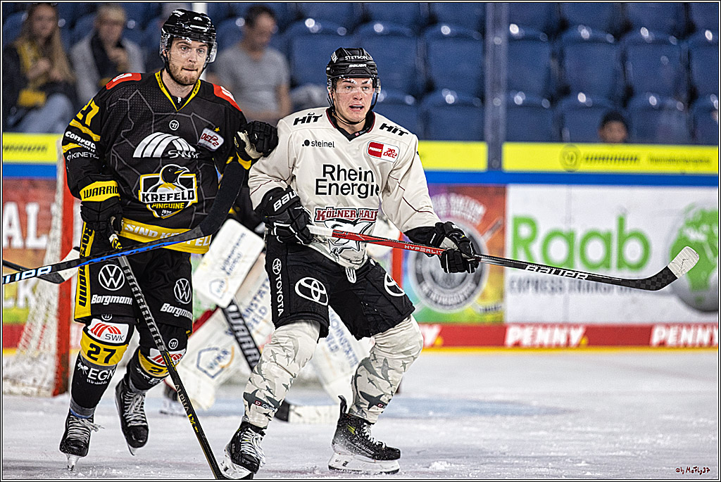 PENNY DEL 1. Testspiel Krefeld Pinguine - Koelner Haie; Krefeld, 10.09.2023