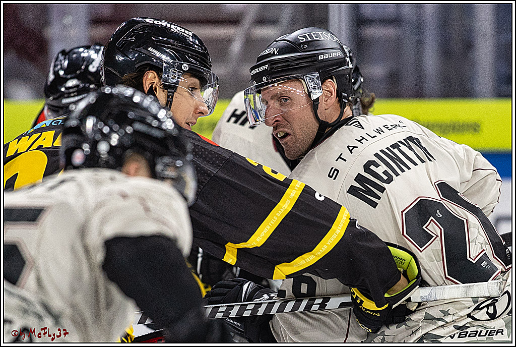 PENNY DEL 1. Testspiel Krefeld Pinguine - Koelner Haie; Krefeld, 10.09.2023