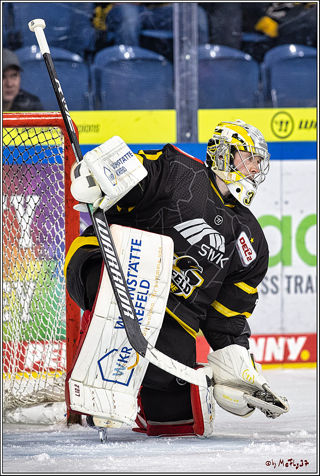 PENNY DEL 1. Testspiel Krefeld Pinguine - Koelner Haie; Krefeld, 10.09.2023
