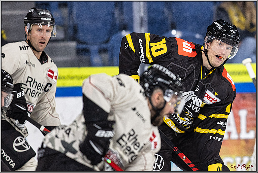 PENNY DEL 1. Testspiel Krefeld Pinguine - Koelner Haie; Krefeld, 10.09.2023