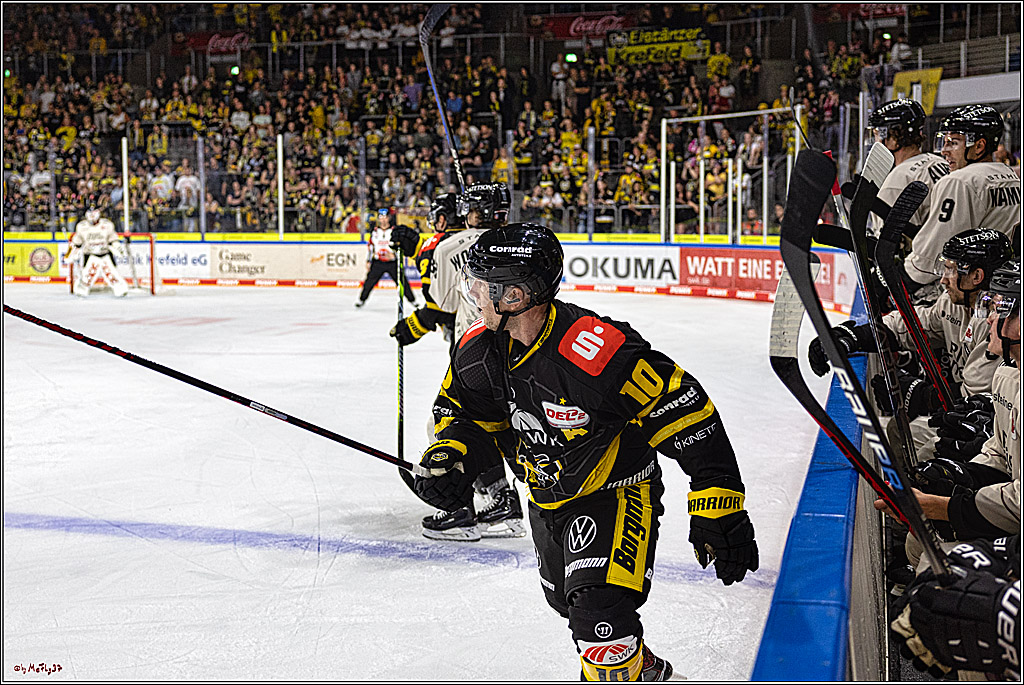 PENNY DEL 1. Testspiel Krefeld Pinguine - Koelner Haie; Krefeld, 10.09.2023