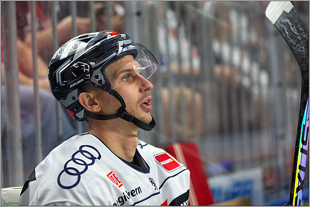 PENNY DEL; Koelner Haie- ERC Ingolstadt; Koeln, 17.09.2023