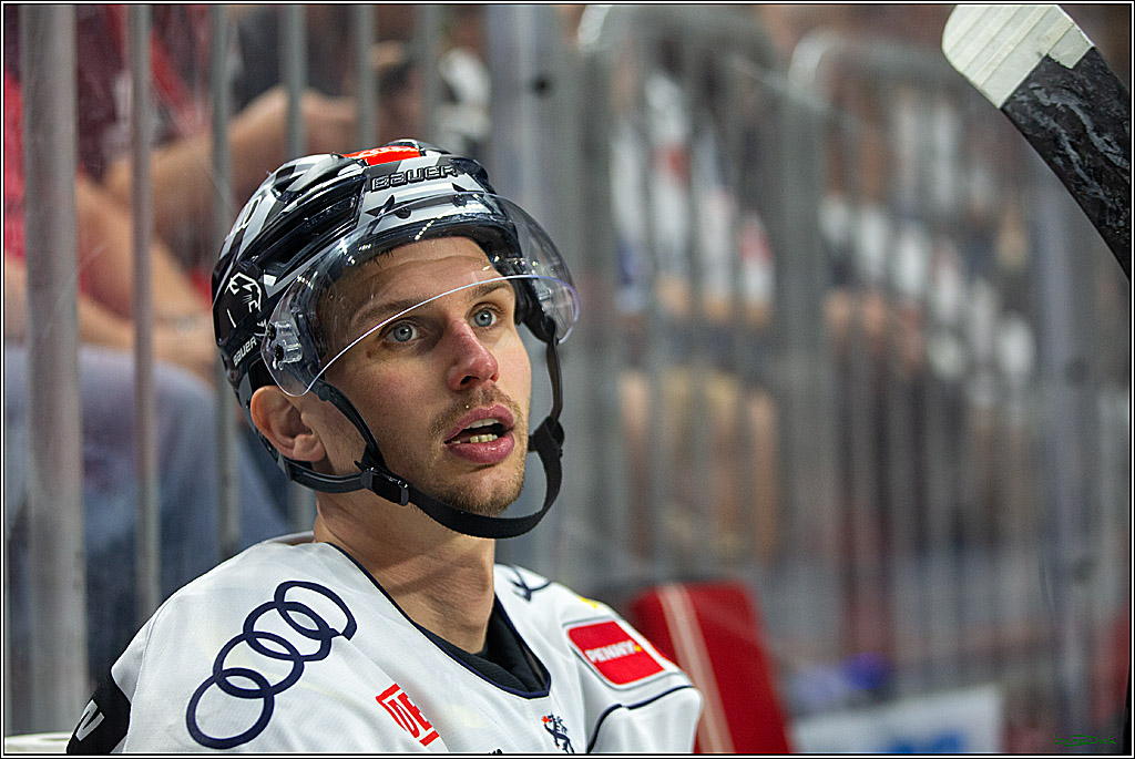 PENNY DEL; Koelner Haie- ERC Ingolstadt; Koeln, 17.09.2023