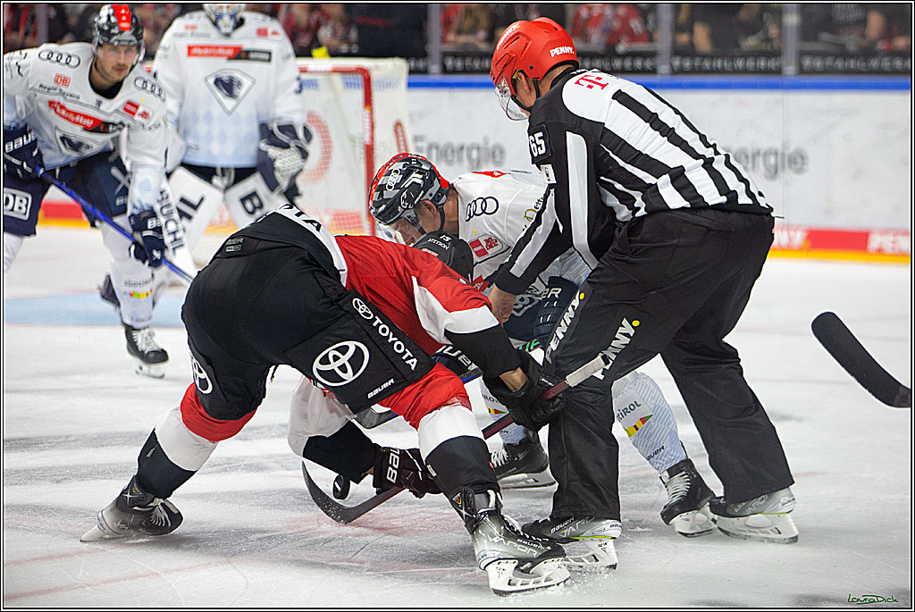 PENNY DEL; Koelner Haie- ERC Ingolstadt; Koeln, 17.09.2023