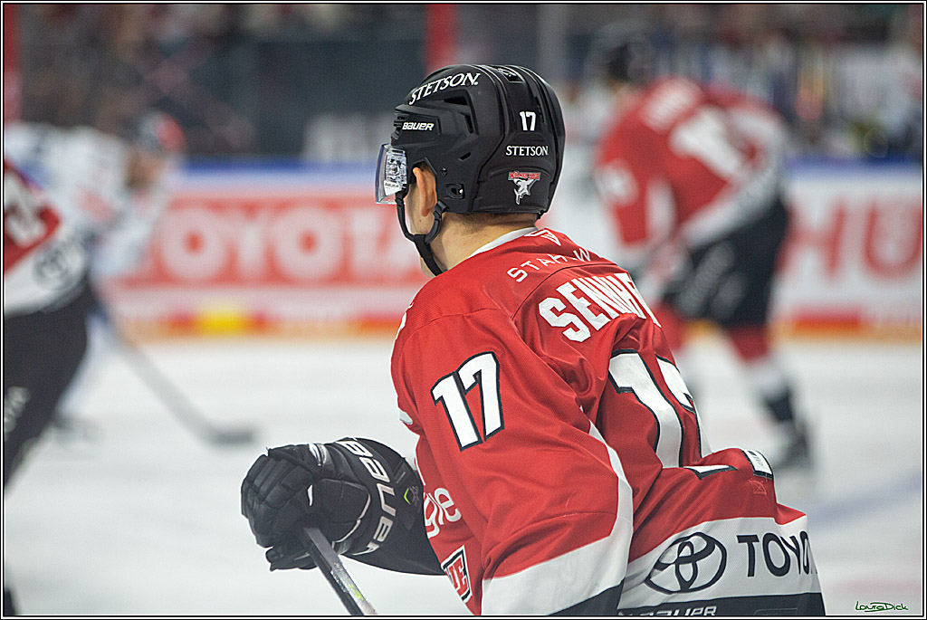 PENNY DEL; Koelner Haie- ERC Ingolstadt; Koeln, 17.09.2023