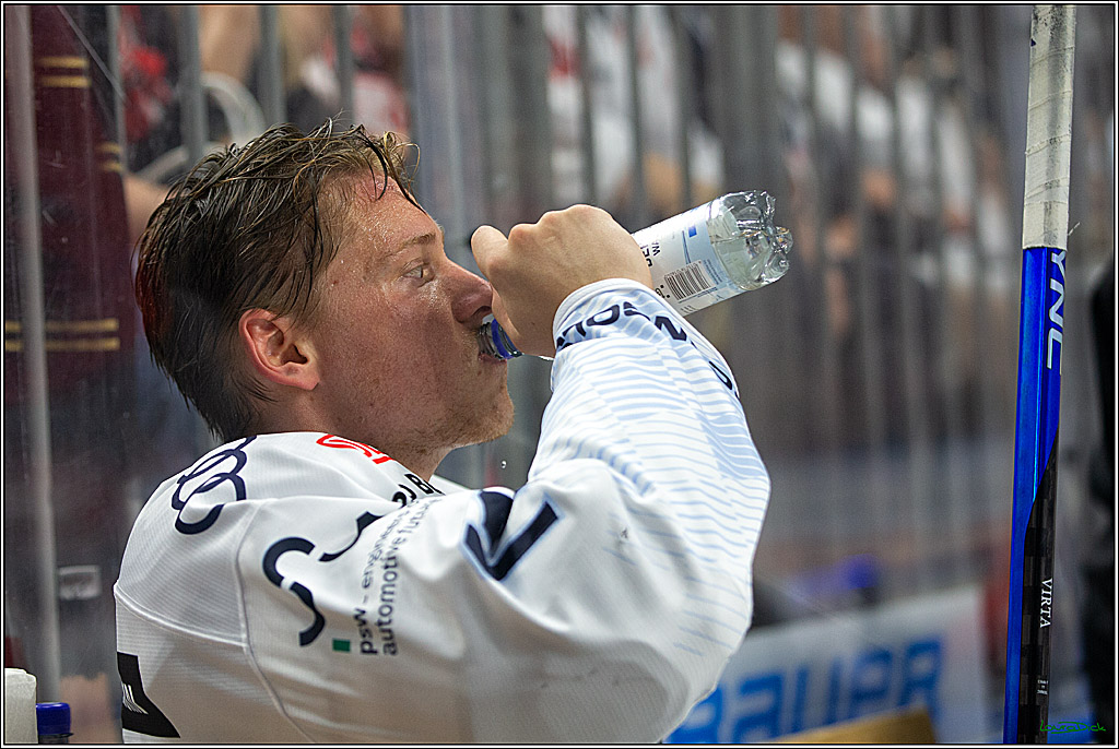 PENNY DEL; Koelner Haie- ERC Ingolstadt; Koeln, 17.09.2023