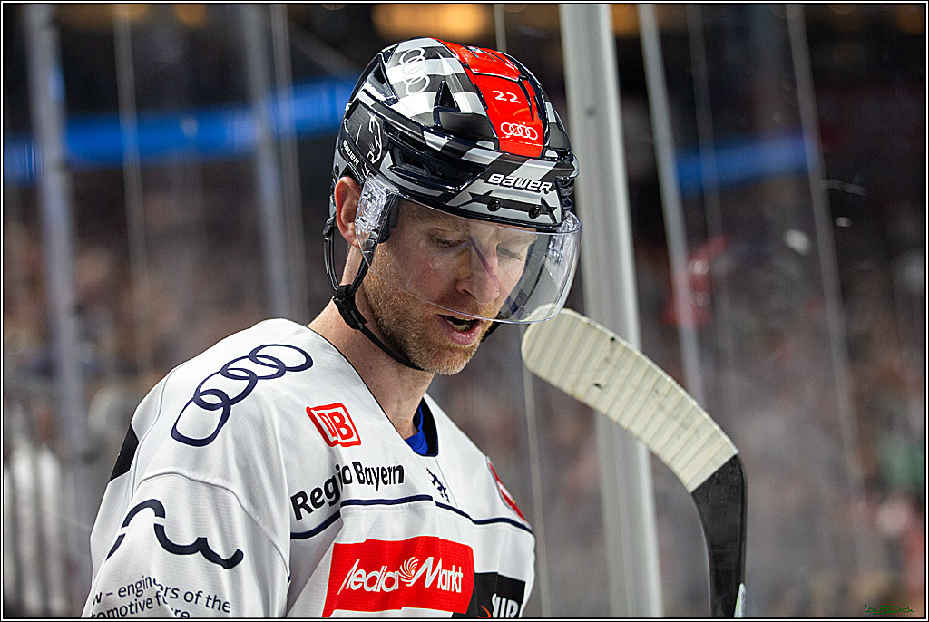 PENNY DEL; Koelner Haie- ERC Ingolstadt; Koeln, 17.09.2023