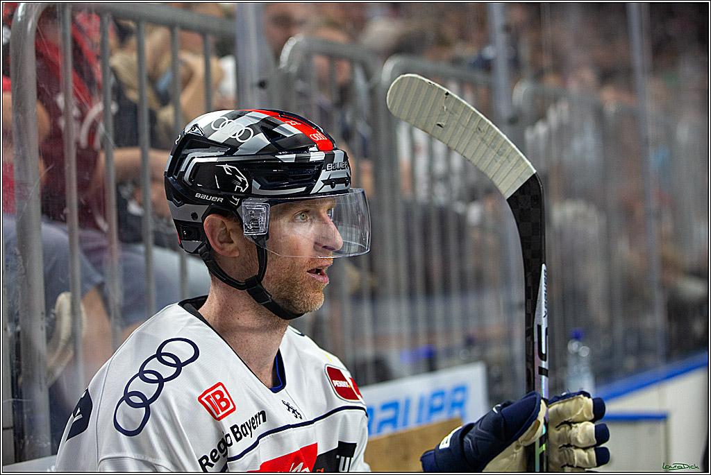 PENNY DEL; Koelner Haie- ERC Ingolstadt; Koeln, 17.09.2023