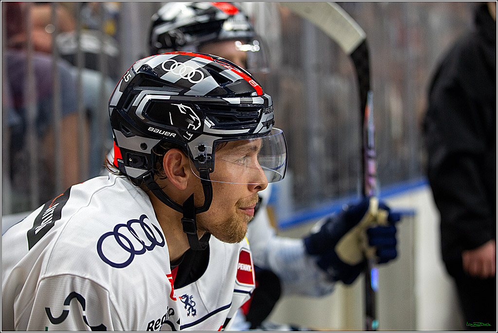 PENNY DEL; Koelner Haie- ERC Ingolstadt; Koeln, 17.09.2023