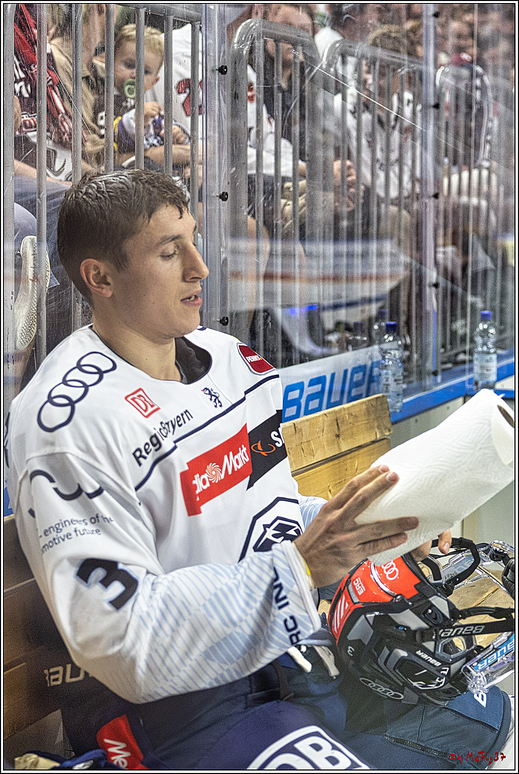 PENNY DEL 1. Koelner Haie - ERC Ingolstadt; Koeln, 17.09.2023