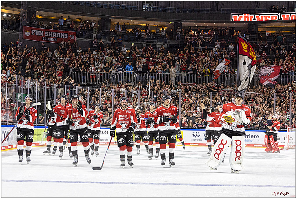 PENNY DEL 1. Koelner Haie - ERC Ingolstadt; Koeln, 17.09.2023