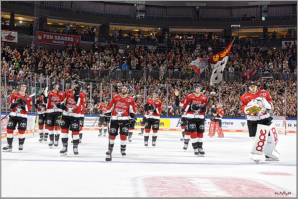 PENNY DEL 1. Koelner Haie - ERC Ingolstadt; Koeln, 17.09.2023