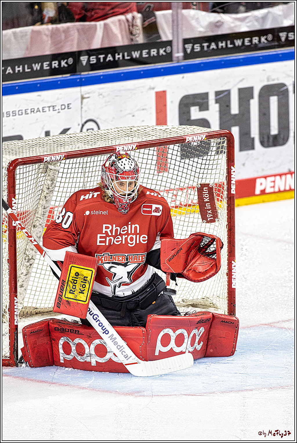 PENNY DEL 1. Koelner Haie - ERC Ingolstadt; Koeln, 17.09.2023