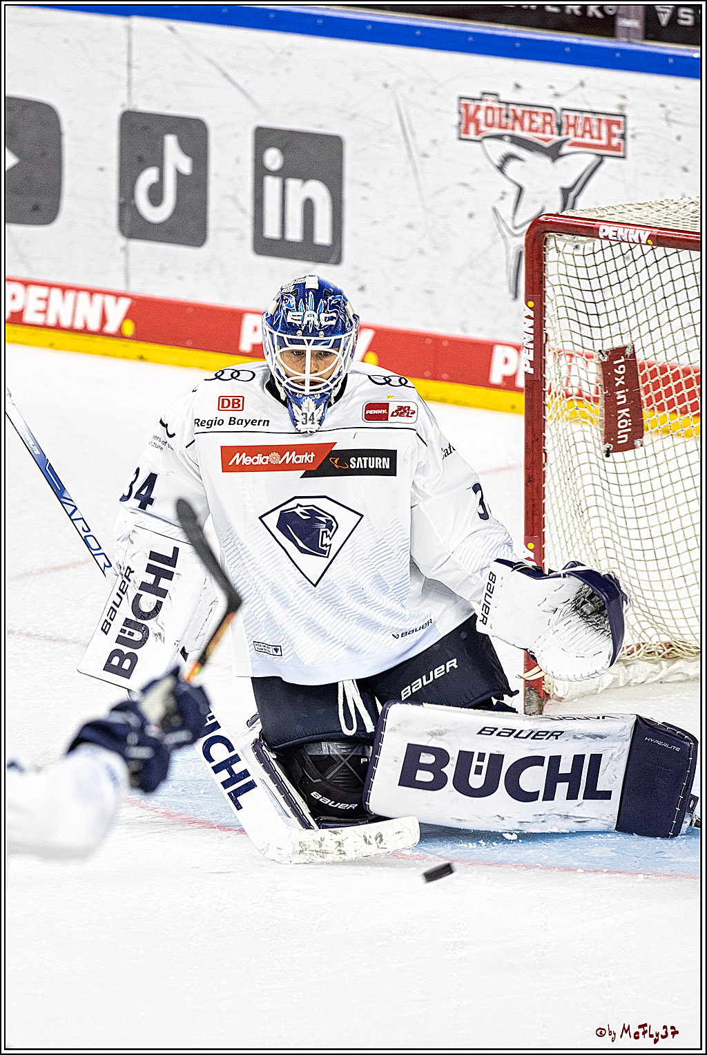 PENNY DEL 1. Koelner Haie - ERC Ingolstadt; Koeln, 17.09.2023