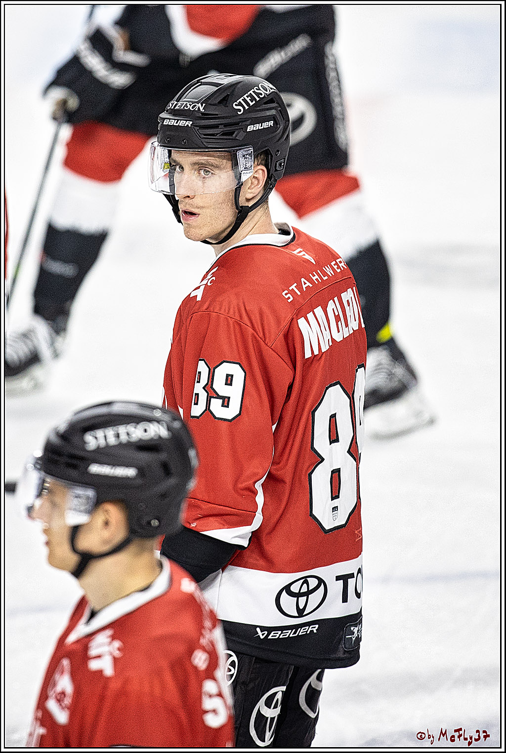 PENNY DEL 1. Koelner Haie - ERC Ingolstadt; Koeln, 17.09.2023