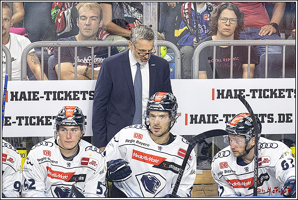 PENNY DEL 1. Koelner Haie - ERC Ingolstadt; Koeln, 17.09.2023