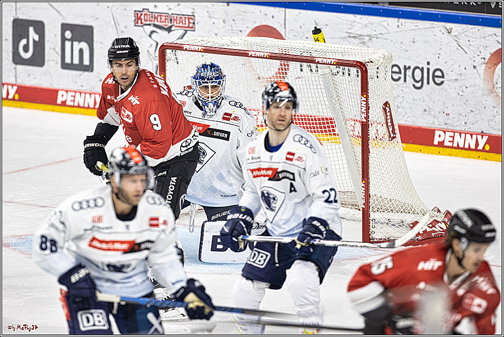 PENNY DEL 1. Koelner Haie - ERC Ingolstadt; Koeln, 17.09.2023