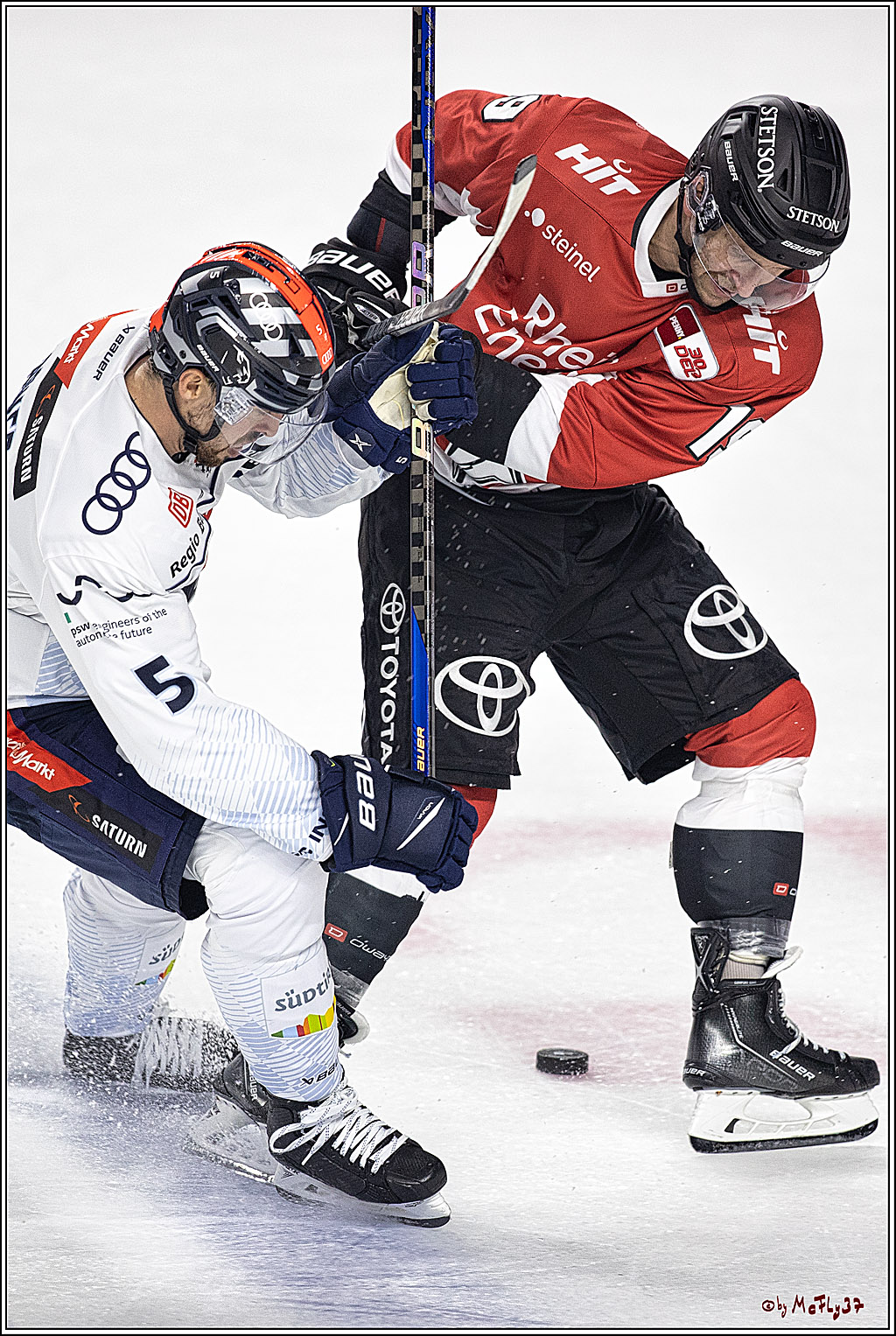 PENNY DEL 1. Koelner Haie - ERC Ingolstadt; Koeln, 17.09.2023