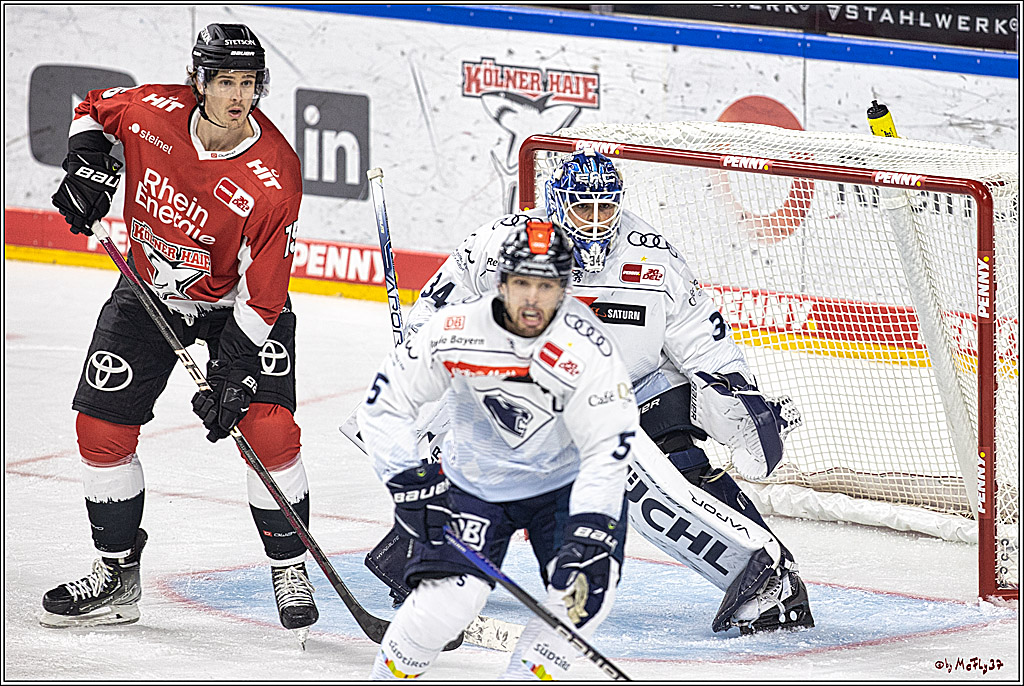 PENNY DEL 1. Koelner Haie - ERC Ingolstadt; Koeln, 17.09.2023