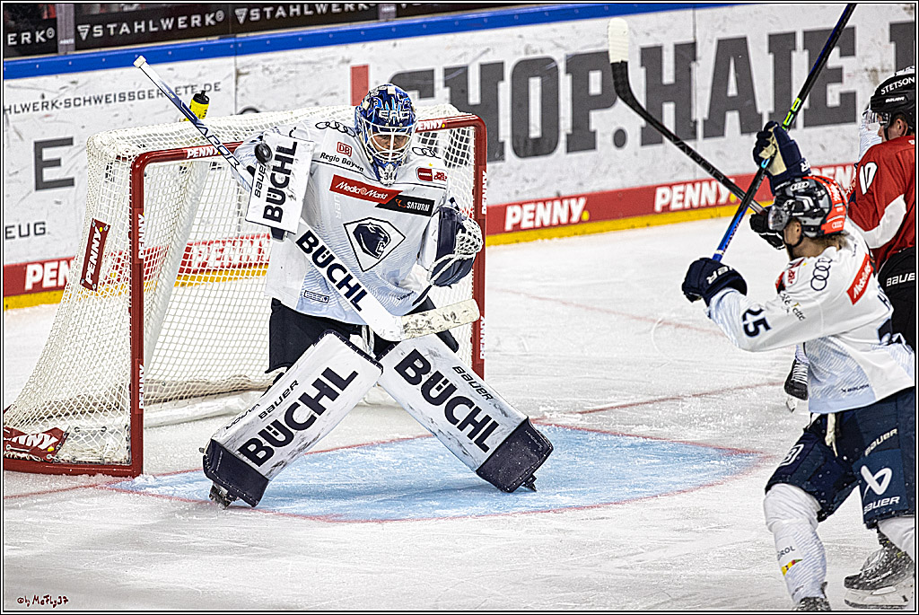 PENNY DEL 1. Koelner Haie - ERC Ingolstadt; Koeln, 17.09.2023