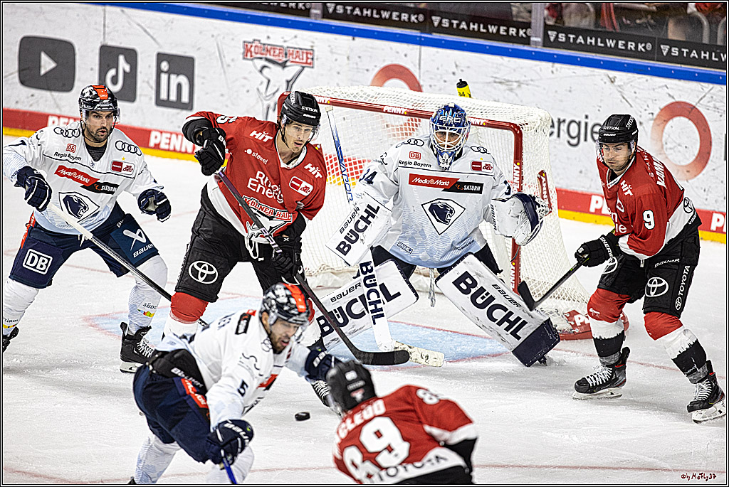 PENNY DEL 1. Koelner Haie - ERC Ingolstadt; Koeln, 17.09.2023