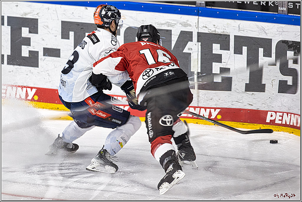 PENNY DEL 1. Koelner Haie - ERC Ingolstadt; Koeln, 17.09.2023