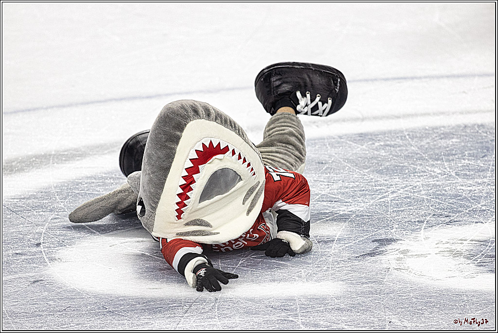 PENNY DEL 1. Koelner Haie - ERC Ingolstadt; Koeln, 17.09.2023