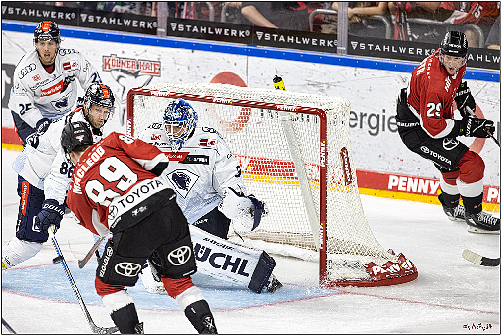 PENNY DEL 1. Koelner Haie - ERC Ingolstadt; Koeln, 17.09.2023