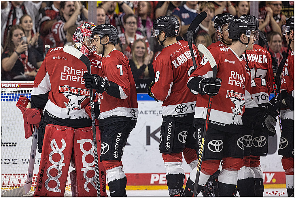 PENNY DEL 1. Koelner Haie - ERC Ingolstadt; Koeln, 17.09.2023