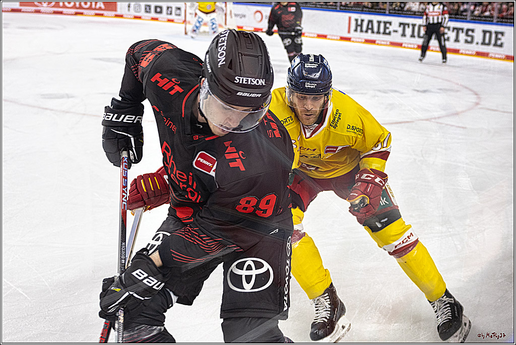 PENNY DEL 1 Koelner Haie - Duesseldorfer EG ; Koeln, 24.09.2023